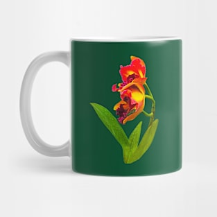 Orchids - Frilly Red and Yellow Orchids Mug